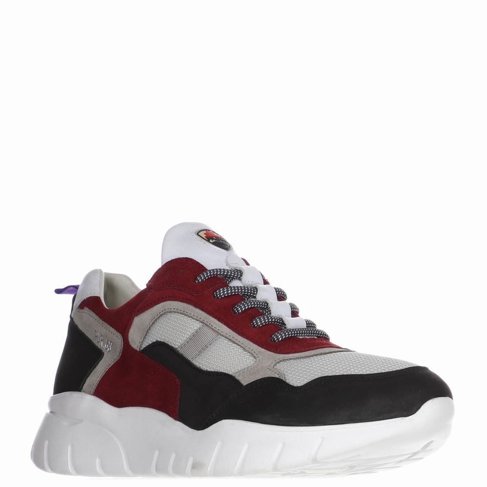 Pajar Cam Uomo Scarpe Da Ginnastica Nere Bordeaux | XDZ8535DL